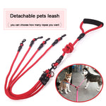 WALK Two and more Dogs Leash Nylon