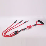 WALK Two and more Dogs Leash Nylon