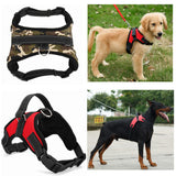 Heavy Duty Dog Pet Harness Collar