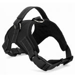 Heavy Duty Dog Pet Harness Collar