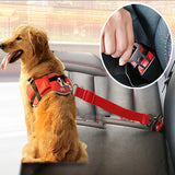 Dog Collars Leads Vehicle  Seat Belt