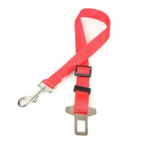 Dog Collars Leads Vehicle  Seat Belt