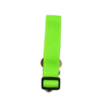 Dog Collars Leads Vehicle  Seat Belt