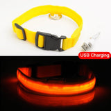 USB Charging Led Dog Collar