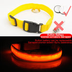 USB Charging Led Dog Collar