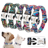 Dog Collar - Nylon