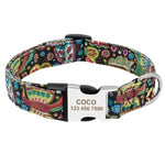 Dog Collar - Nylon