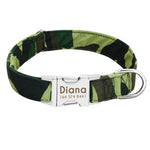 Dog Collar Custom- Nylon