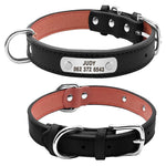 Large Durable Personalized Dog Collar Leather