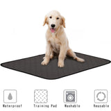 Washable  Pet Diaper Mat